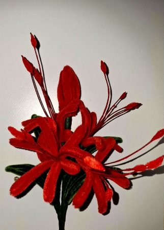 Red Spider Lily Flower Arrangement