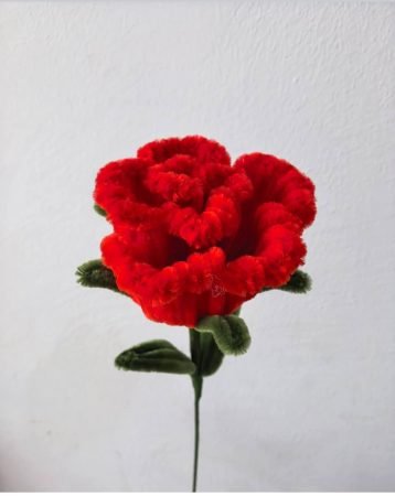 Single Red Carnation Pipe Cleaner Stem