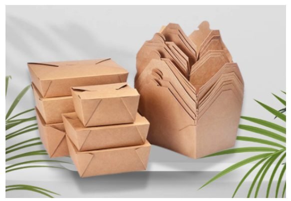 Paper Takeaway Box