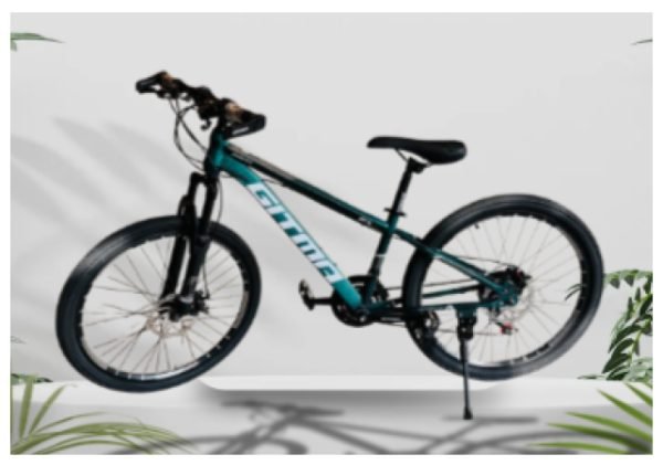 Mountain Bikes