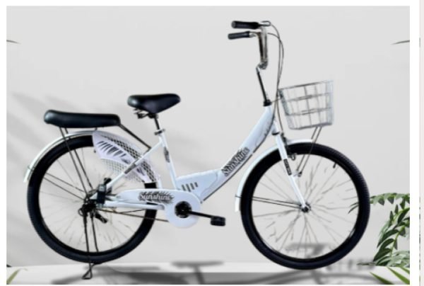 Sunshine City Bikes 24"