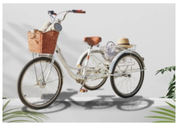 Cargo Tricycle