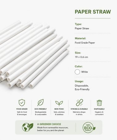 Paper Straw