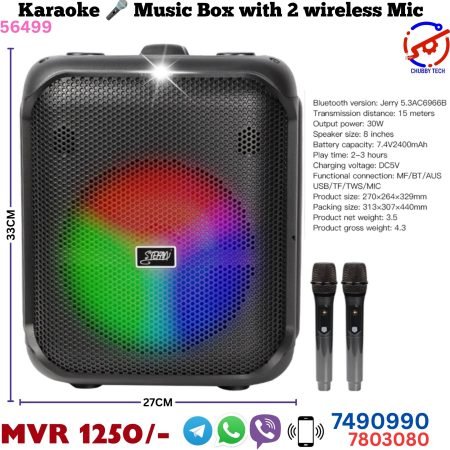 Karaoke Music Box with 2 Wireless Microphones
