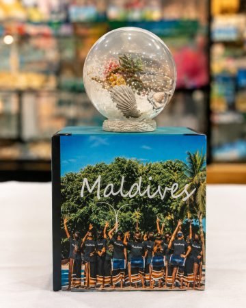 Water Globe