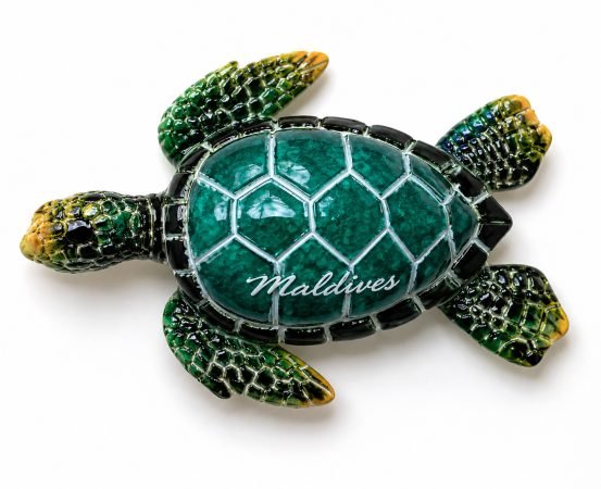 Resin Green Turtle Magnet