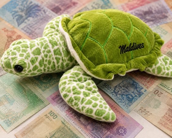 Soft Toy Turtle 30Cm Green