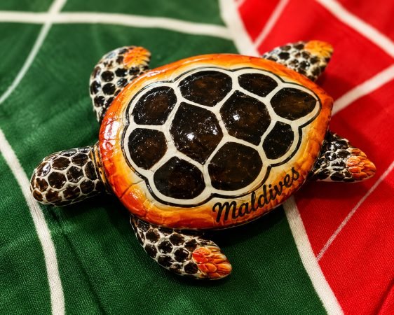 Wooden Turtle Magnet 6Cm