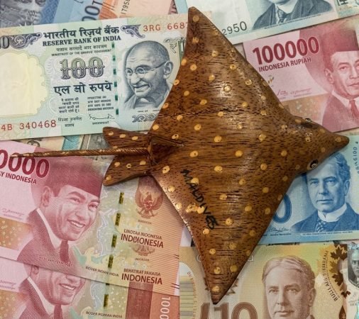 Wooden Eagle Ray Magnet 10Cm