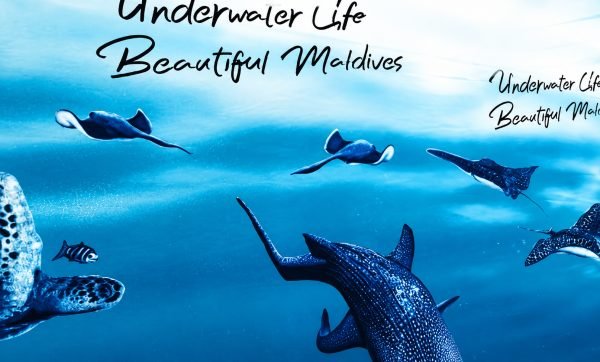 Sarong Underwater