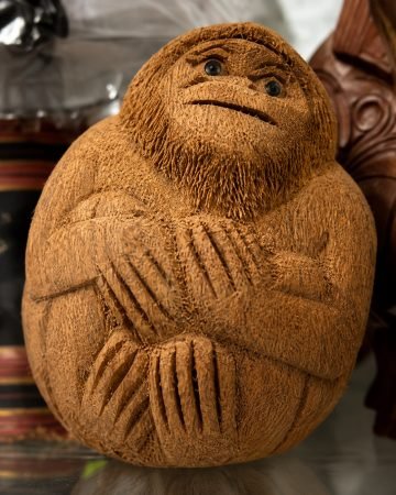Coco Monkey