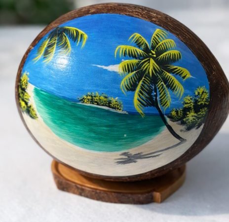Painted Coconut