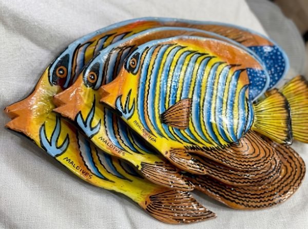 Fish Tray Set (3 In 1)