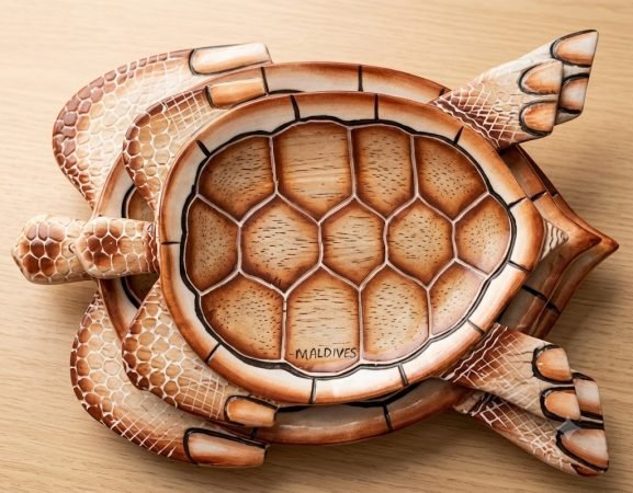 Turtle Tray Set (3 In 1)