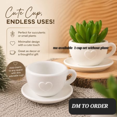 Mini Cup and Saucer Planter Set